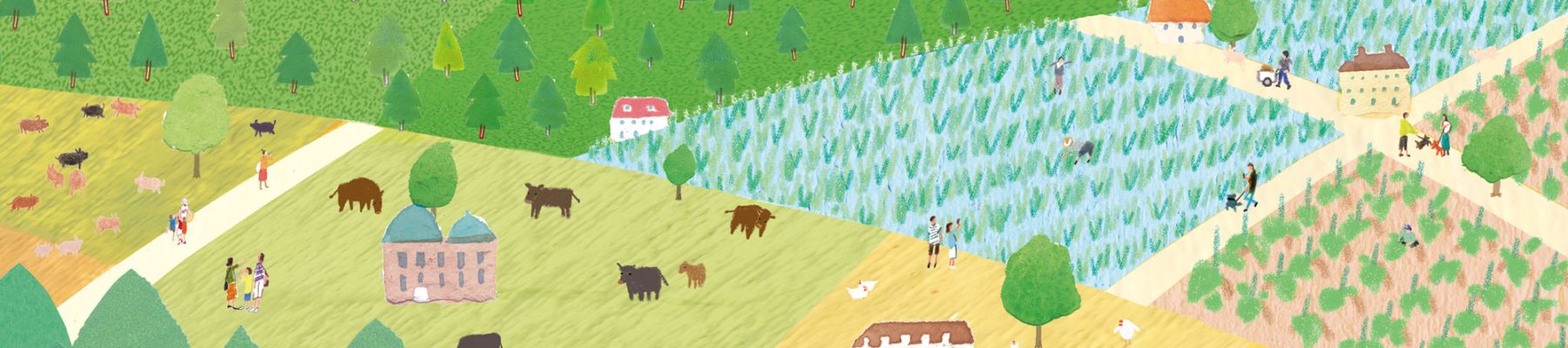 20240227_miyazaki_2000